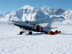 skis
