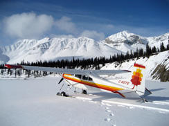 skis